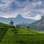 Adams_Peak