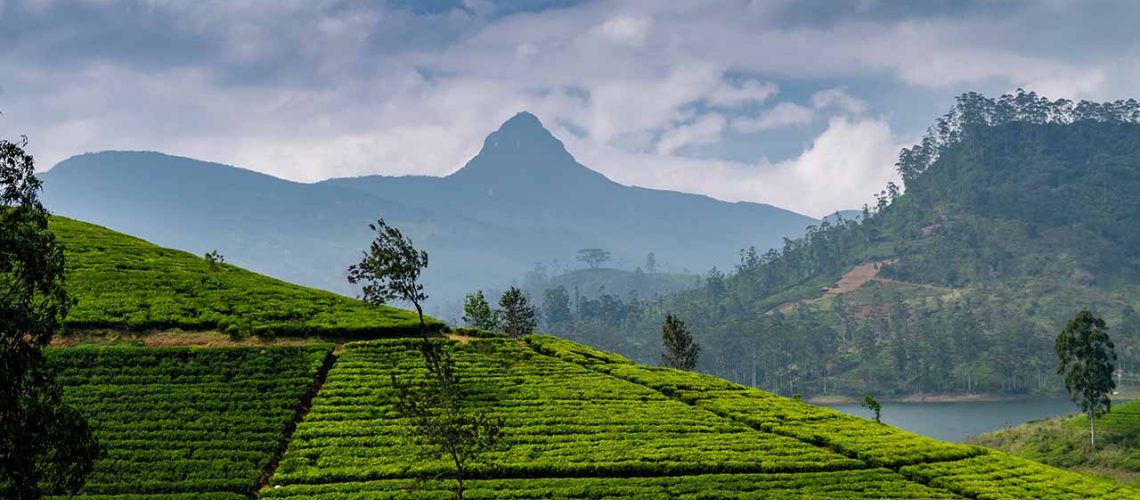 Adams_Peak